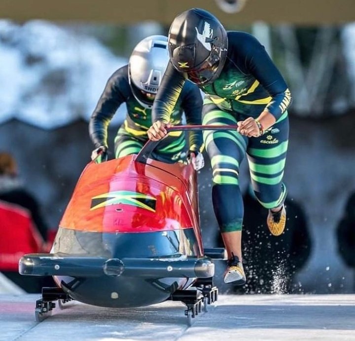 Wednesday 🦉 tweet media