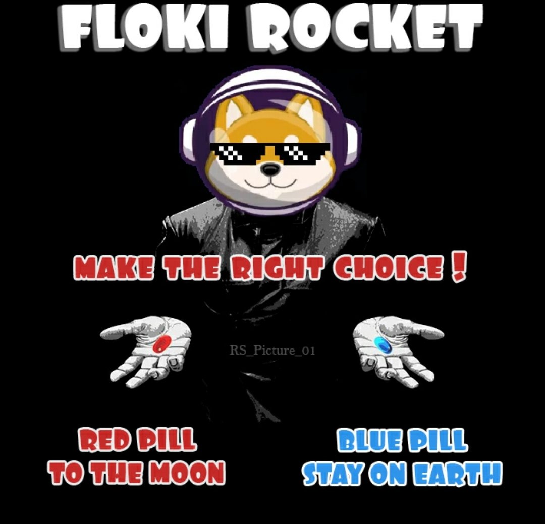 ELRONDGANG2's tweet photo. L'équipe de la #FlokiRocket tient toutes ses promesses !!!
La lune nous appartient 🚀 
Venez rejoindre l'armée de la #RLOKIARMY si vous avez ratez le train pour l'aventure #Shiba 👎👎👎
Les millionnaires de demain 🔥
@FLOKIROCKETARMY 
#GoToTheMoon 🚀 https://t.co/OUHhF19cAE
