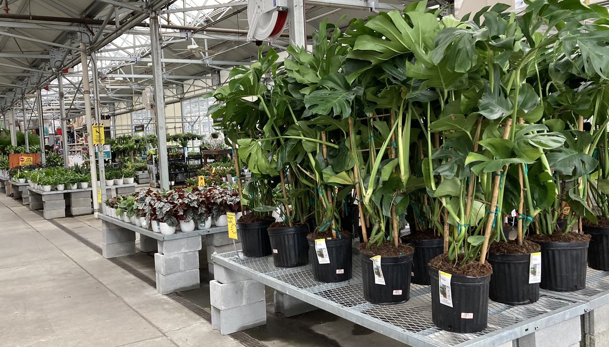 Linda Burkins (@ppslinda) on Twitter photo HD3625 Asheville #wegotitall! #visitourgreenhouse <a href="/pps_s_atlantic/">AC</a> <a href="/PPScatwilson/">Catherine</a> <a href="/BobbyBoaenTHD/">Bobby Boaen</a> @PPSinHD <a href="/Stephen_E_Camp/">Stephen Camp</a> <a href="/spoonholtz/">Teresa Spoonholtz</a> <a href="/Jleach777/">John Leach</a> @MonicaBMoon HD3625 Asheville #wegotitall! #visitourgreenhouse <a href="/pps_s_atlantic/">AC</a> <a href="/PPScatwilson/">Catherine</a> <a href="/BobbyBoaenTHD/">Bobby Boaen</a> @PPSinHD <a href="/Stephen_E_Camp/">Stephen Camp</a> <a href="/spoonholtz/">Teresa Spoonholtz</a> <a href="/Jleach777/">John Leach</a> @MonicaBMoon