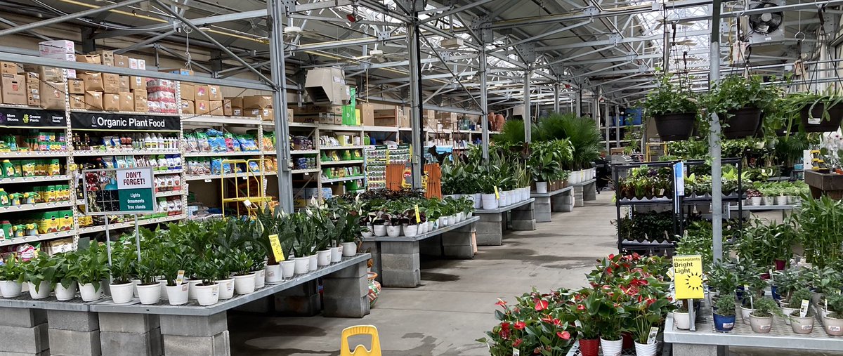 Linda Burkins tweet media