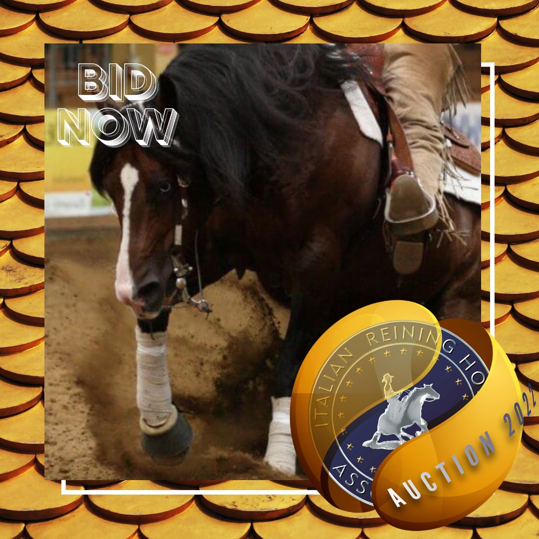 irhareining's tweet photo. ๐ฅ ENROLL YOUR STALLION AT #IRHA #STALLION #AUCTION BECOMING A SPECIAL PARTNER FOR 2022 IRHA #FUTURITY ๐ฎ๐น
.
๐ SPECIAL THANKS TO #ClaudioRisso TO DONATE A BREEDING OF #SpatABlue
๐๐๐
https://t.co/sxcDWMUSu4
.
๐ด #IrhaAuction ends 31/01/2022! https://t.co/XvBDakHMBK