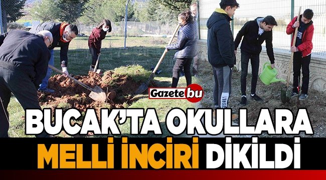 Bucak’ta Okullara "Melli İnciri" Dikildi 
gazetebu.net/bucak-ta-okull…