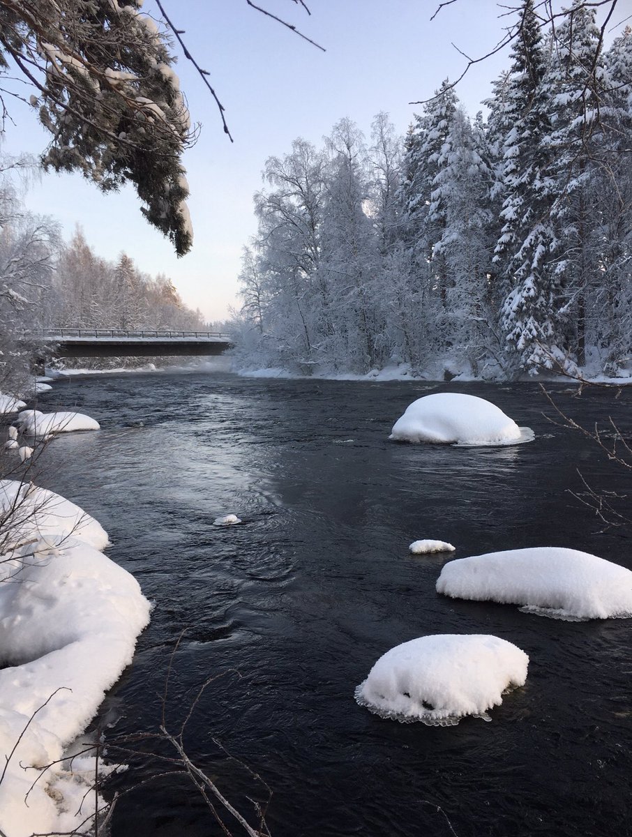 FinlandPictures's tweet photo. Mukavaa uutta viikkoa Twitter!❄️🌅❄️#tammikuu #maanantai #suomi🇫🇮 https://t.co/u4mj0C0xBb