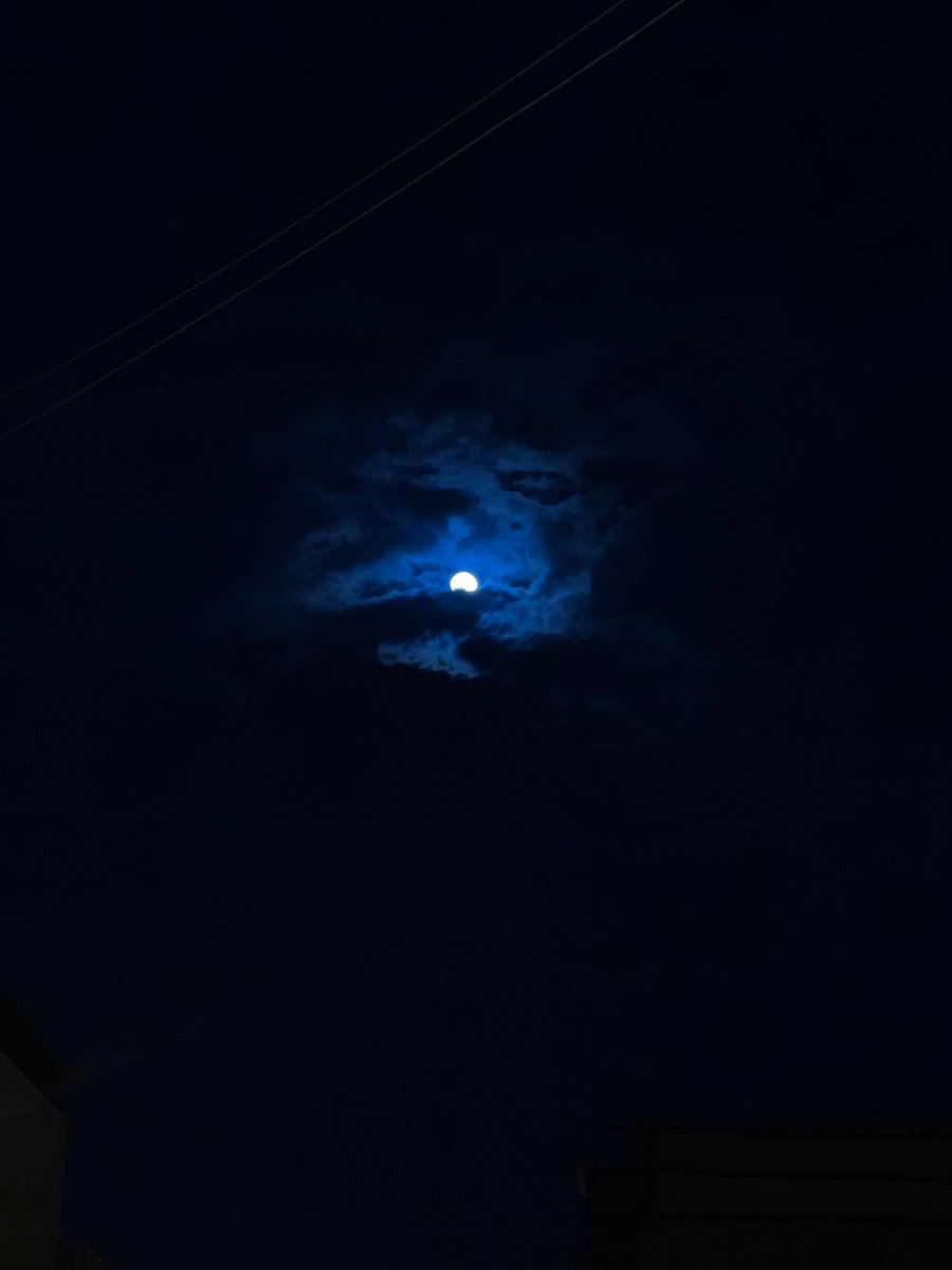 maiward_lilly's tweet photo. If only for one day … #bluefullmoon https://t.co/DNV5JQi83s