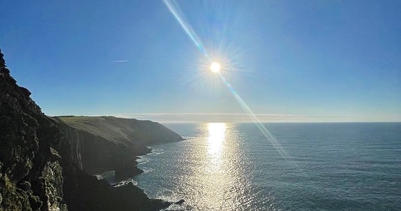 The Good Fish Company tweet media