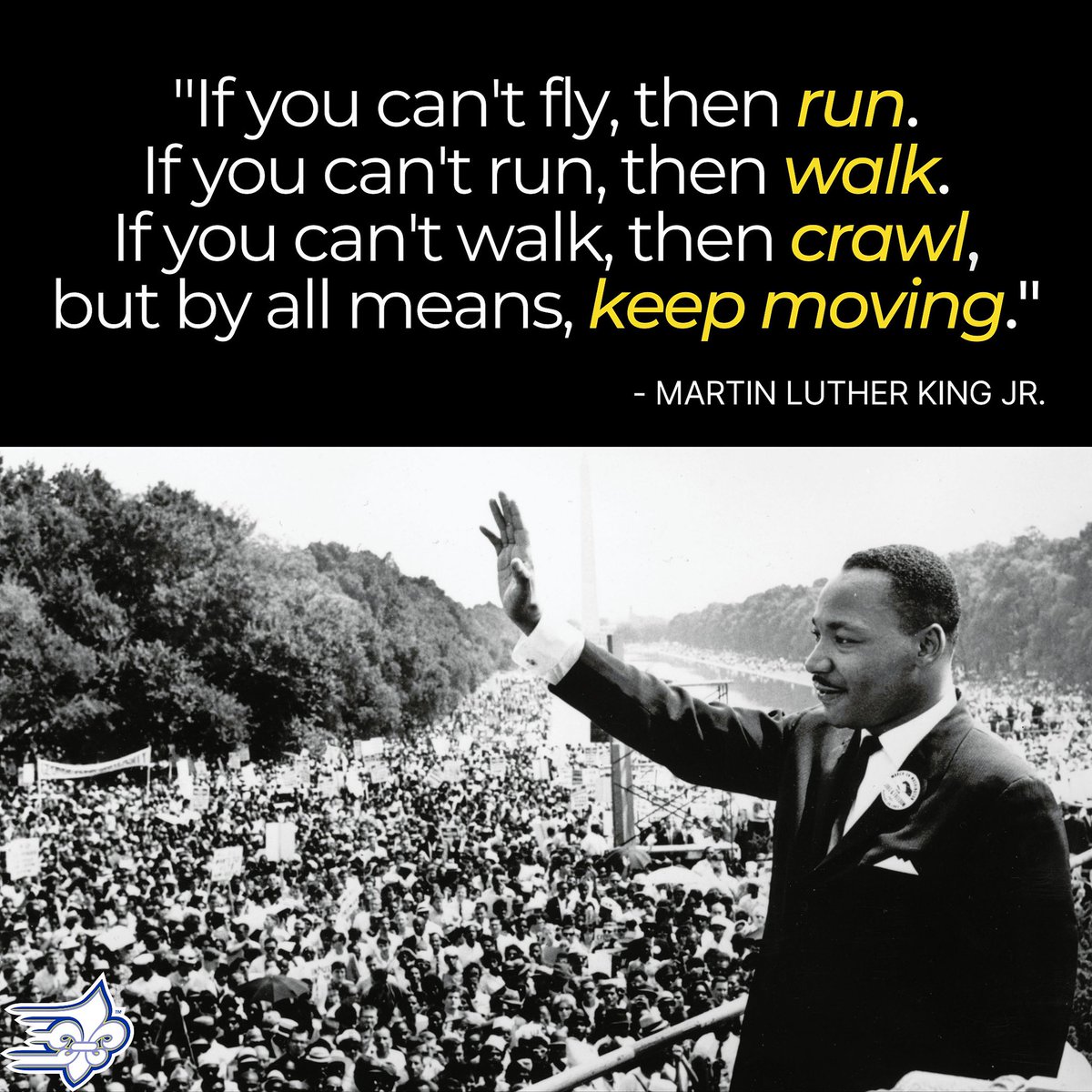 Limestone Saints tweet media