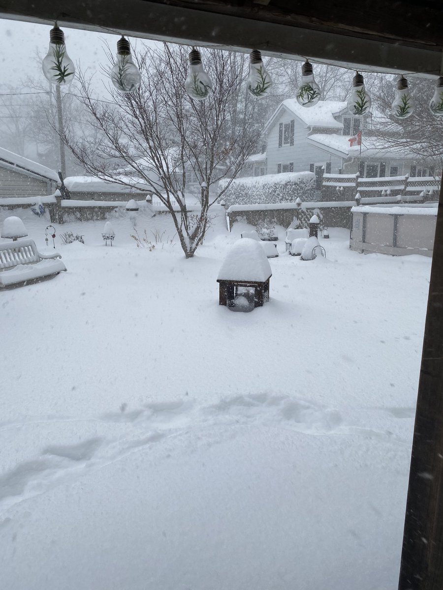 librawomen's tweet image. #miltonOnt Wowzers!!! All this snow ❄️ beautiful #BeSafeOutThere