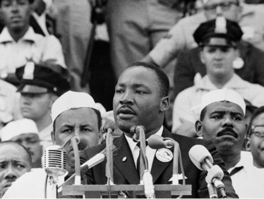 “Never, never be afraid to do what’s right, especially if the well-being of a person or animal is at stake. Society’s punishments are small compared to the wounds we inflict on our soul when we look the other way." - Martin Luther King Jr.