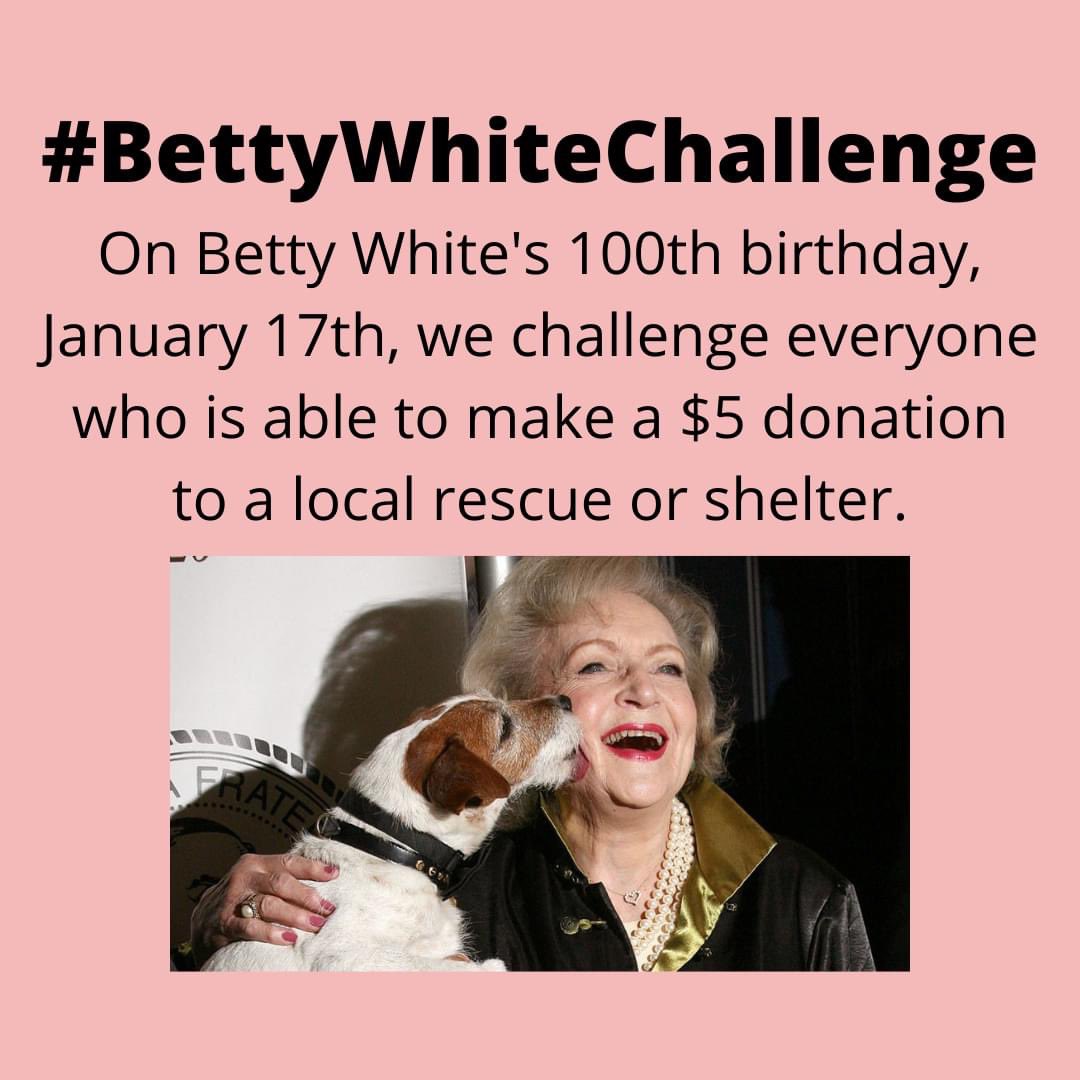 hawkward97's tweet photo. It’s #BettyWhiteChallenge day! 💕 in honor of such an amazing woman, see if you can make a difference in an animal’s life today 💕 even if it’s as simple as playing with shelter cats or walking shelter dogs 🐾 https://t.co/bDoI5LI8ey