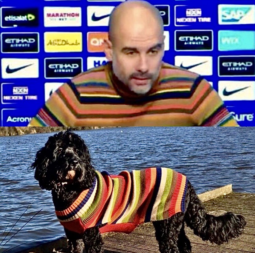 djwskyblu's tweet photo. Obviously @PepTeam is a football genius, a unique, creative, innovator, undoubtedly the best coach and tactician in the modern era of the game BUT, as a fashionista, is he a leader or a follower of #MCFCCockapoo Mollie Zaba 😍💙🐾🐾💙🥰🤷🏻♂️❔Either way L💙VE ‘EM BOTH @ManCity 👍🏻 https://t.co/Q35zIvEqiB
