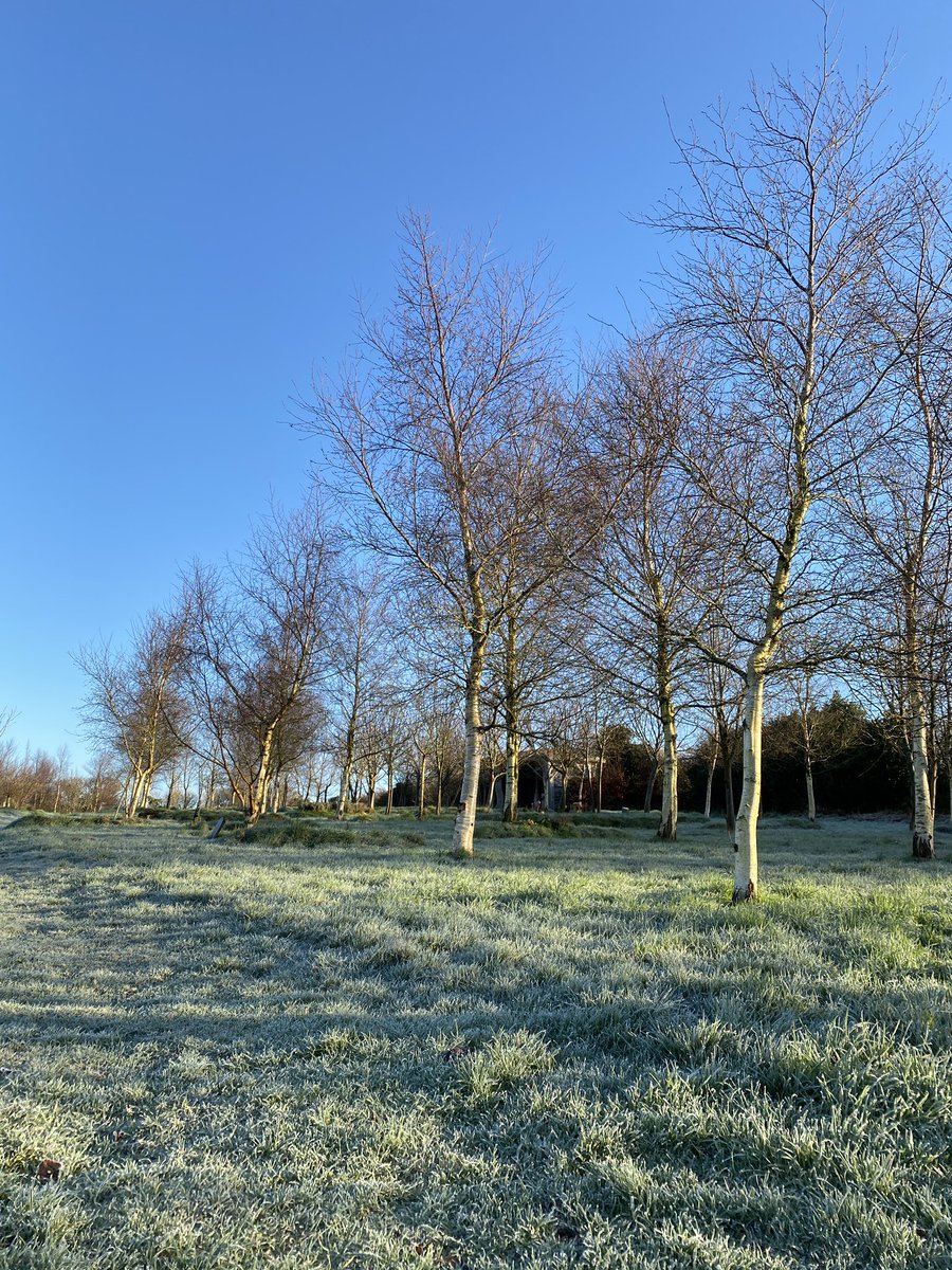 All still and calm on a Monday Morning!