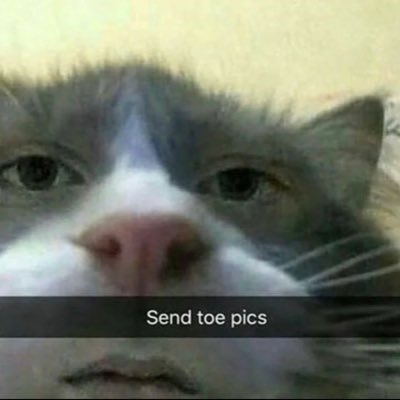 nathan72190659's tweet photo. #NouvellePhotoDeProfil https://t.co/Wgp1HOLy9N