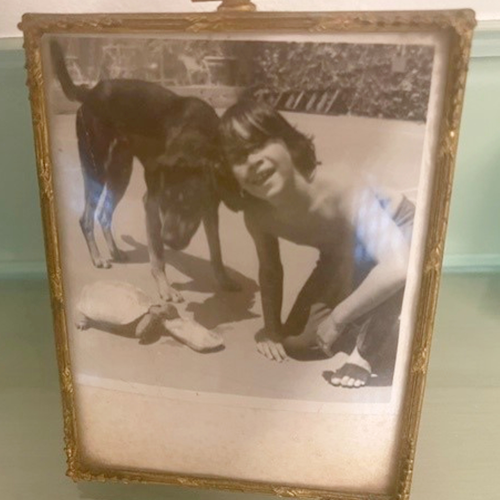 Hall of Famer @Amy_Alcott driving Mr. Joe &amp; as a youngster w/ pet turtle Bill and lab Sam. Celebrate Betty White, who would have turned 100 today, by donating now to an animal rescue charity. #bettywhitechallenge #legendsofthelpga #lpgalegends #humanesociety #petcolove