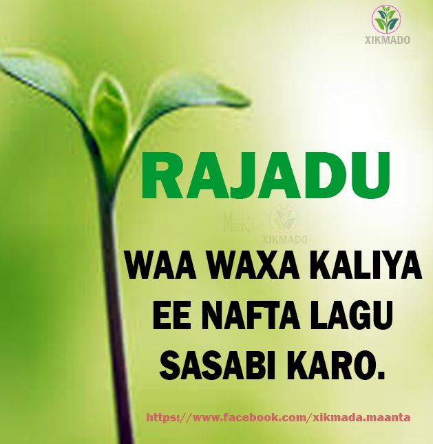 ZakiMohaAli1's tweet photo. Wax walbo Waa Rajo
#HabeenWanagsn https://t.co/Ix8le1kUBD