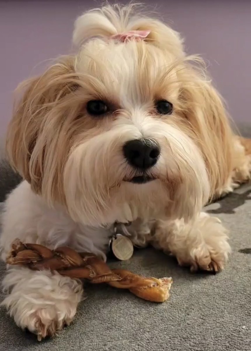 We love seeing everyone's weekend photos!
Thanks for sharing.