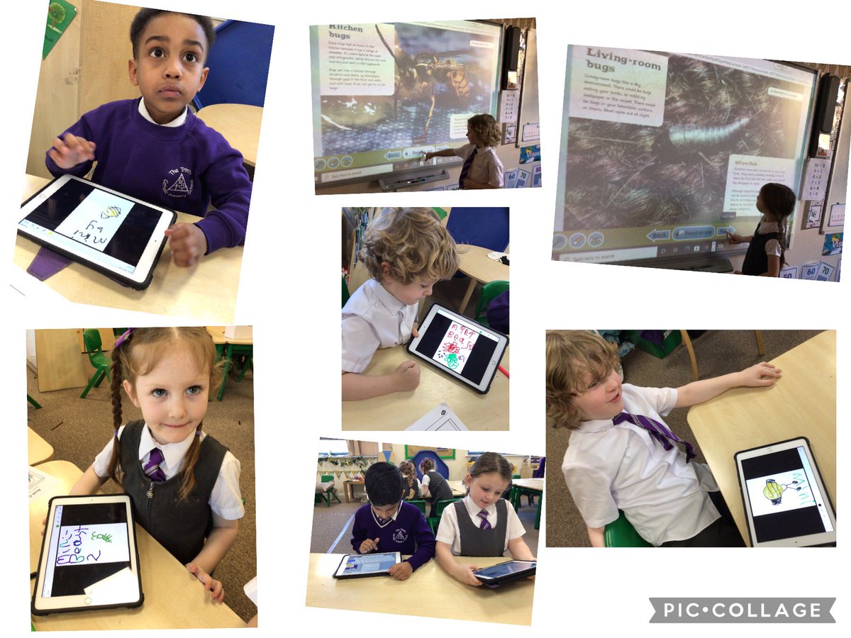 TheTrinityL5's tweet photo. Year 1 have been looking at examples of ebooks and are working on creating their own. Today they worked on front covers! ππ»#trinitycomputing https://t.co/nWbKbI7EEZ