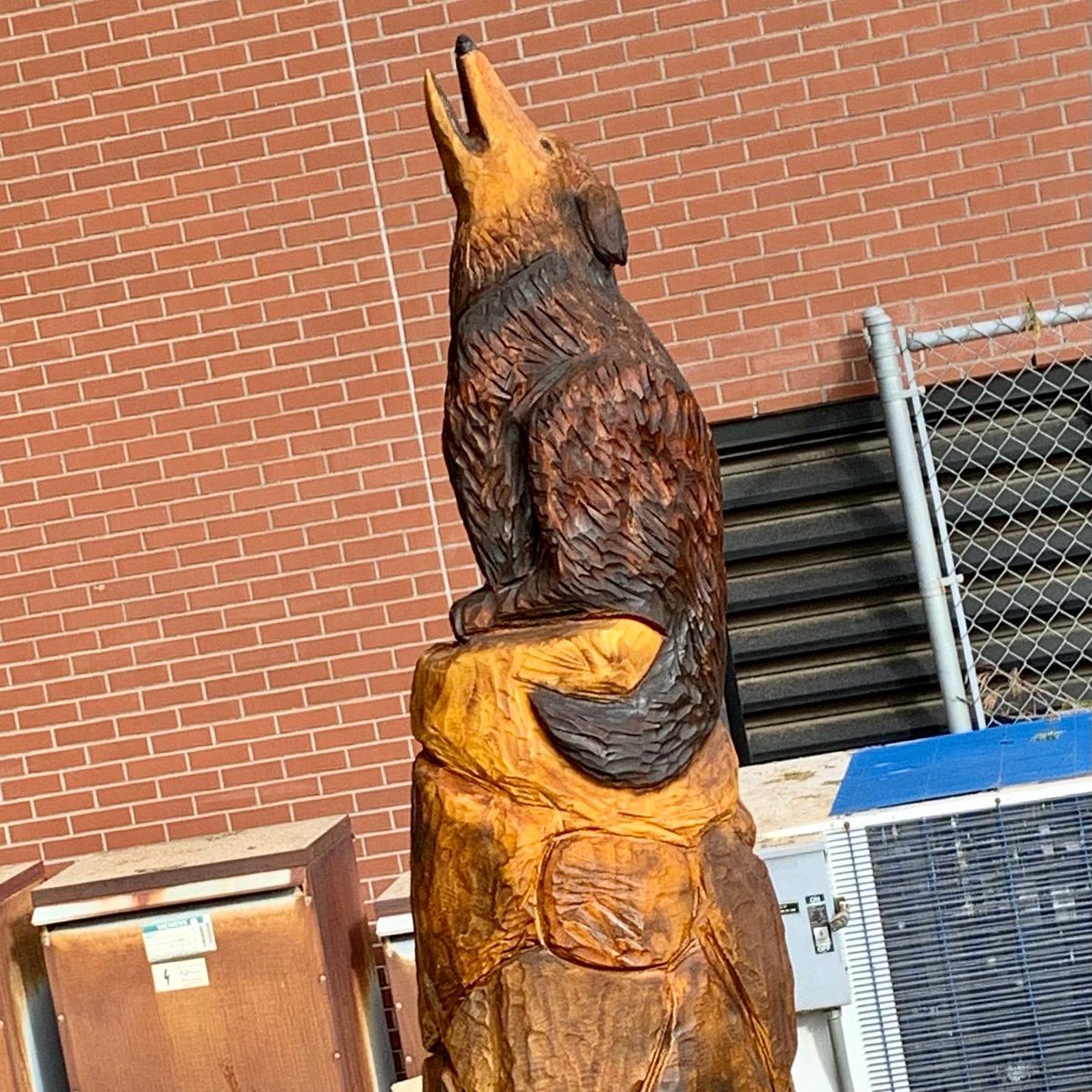 James Beckerman, MD tweet media