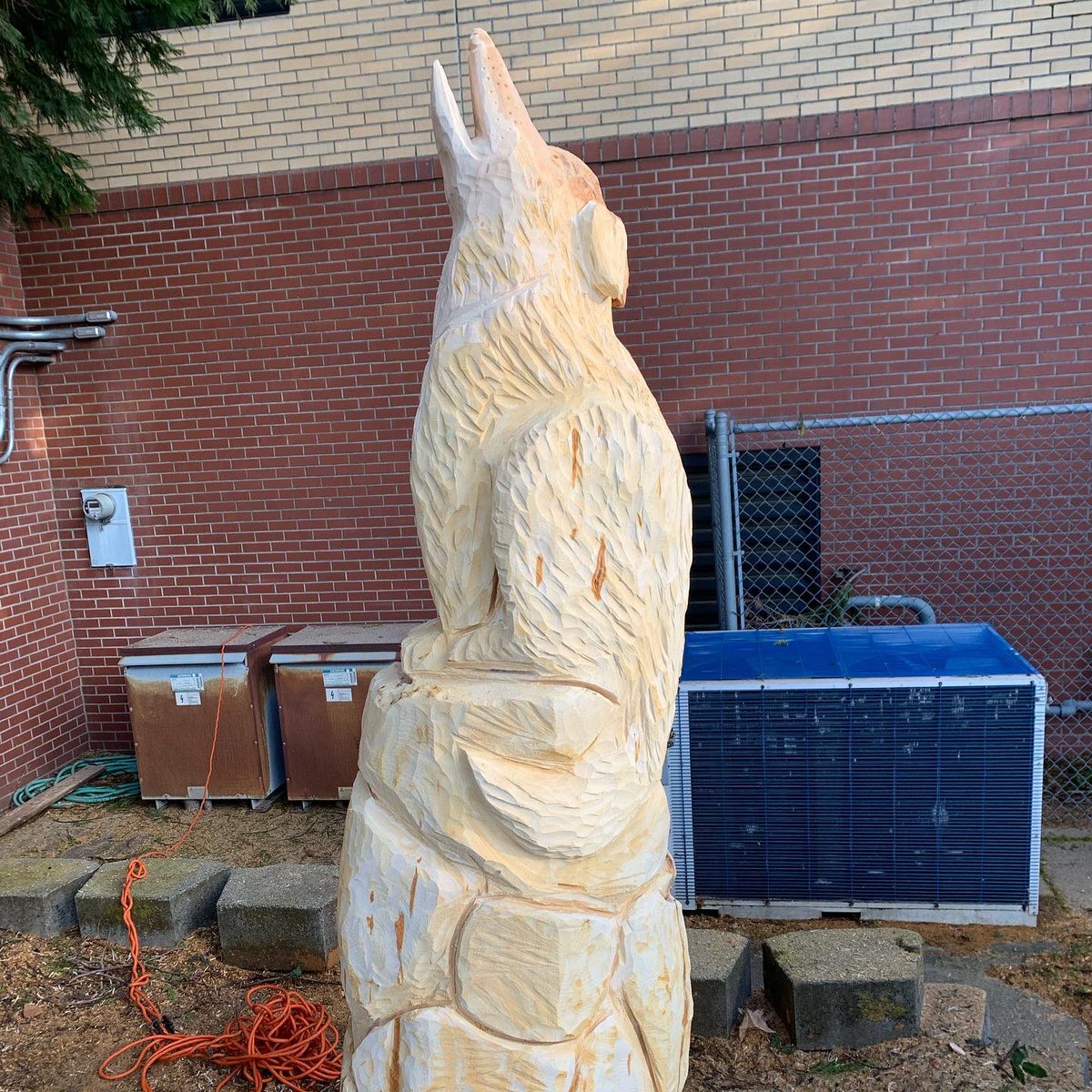 James Beckerman, MD tweet media