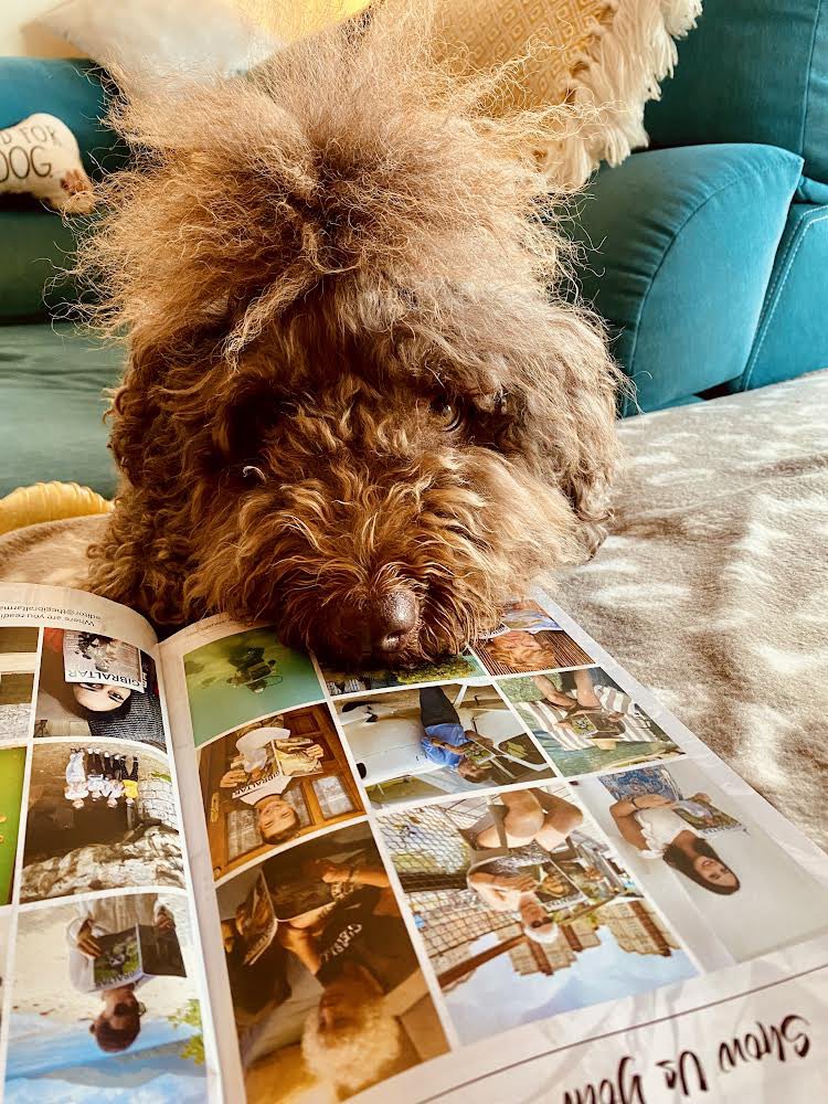 Molly desperately wanted to be in the magazine - and who are we to say no?! Thanks for reading, Molly! 🐾 Where are you reading yours? #ShowUsYourMag