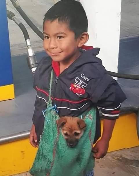 motivacioneslat's tweet photo. Esta foto es demasiado hermosa para no ser vista por todo el mundo.
#felicidaddoble
#amorincomparable https://t.co/xndwHEgxAc