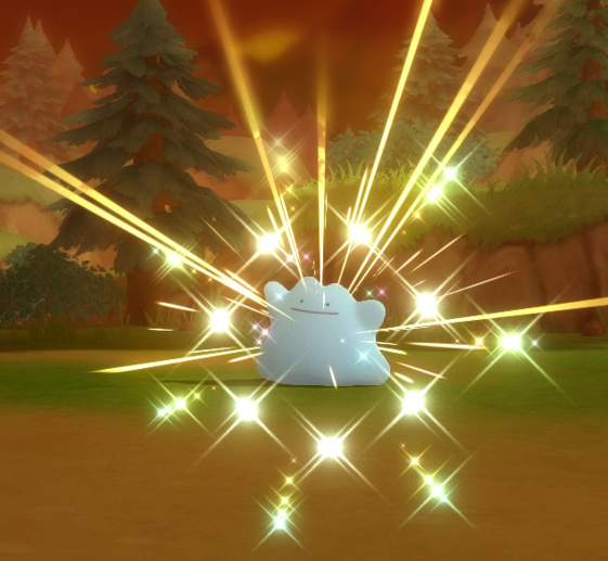 NightyGen's tweet photo. Next I went for Shiny Ditto since I wanted one with good ivs for breeding anyway. Managed to get 3 Shiny before chain broke (all caught in different balls - Great, Quick and Dive).

#shiny #shinypokemon #bdsp https://t.co/FoLQAdHpAt