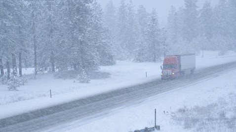 CowanInsurance's tweet photo. Today’s heavy snowfall across southern Ontario has created dangerous road conditions. Avoid driving where possible and exercise caution if you must go out. Visit our blog to read our top #WinterDrivingTips. #ONSnowstorm
https://t.co/BTrMjRRO5V https://t.co/j9EGbMvvEH