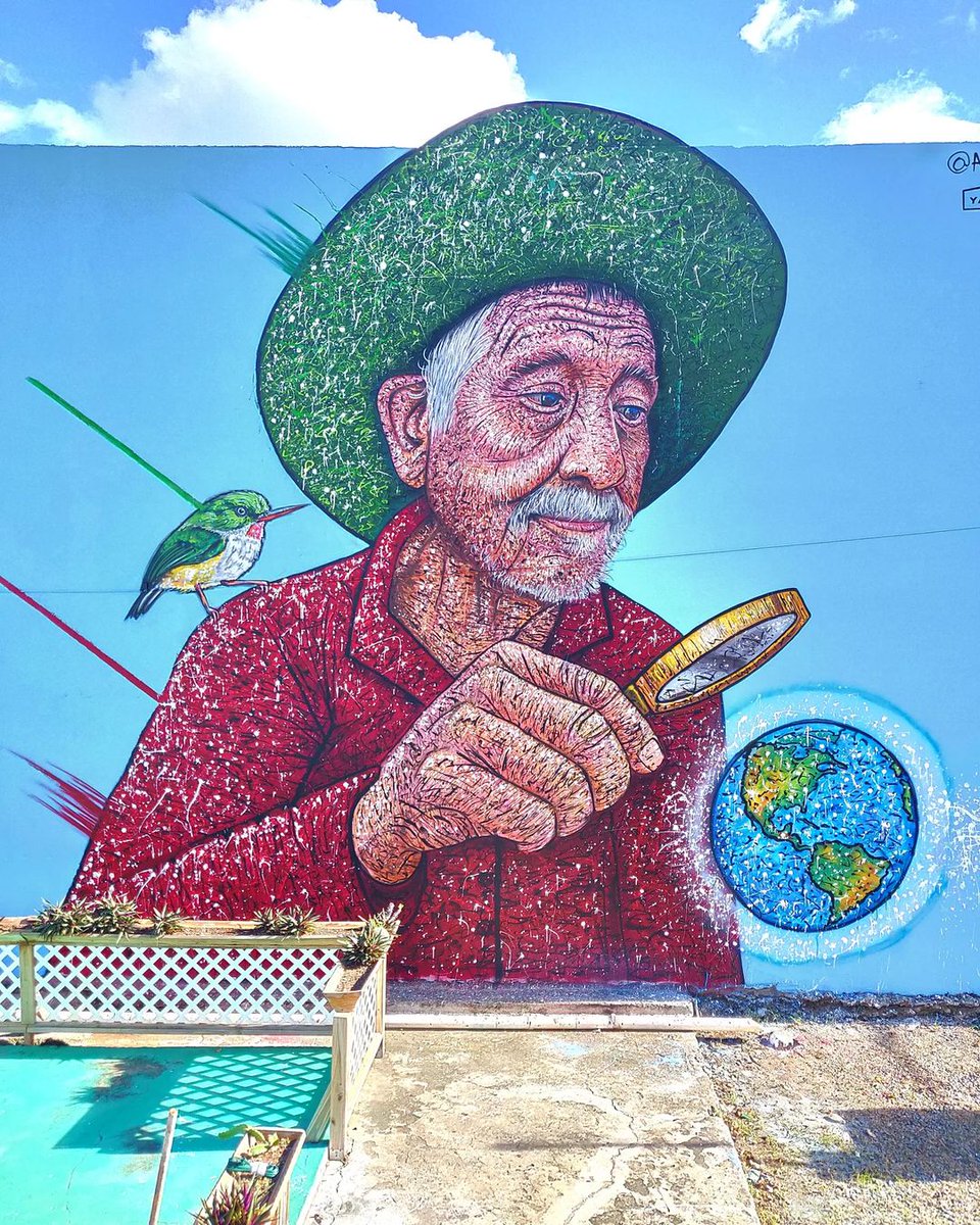 By Artiste RAST in Guayanilla, Puerto Rico 🇵🇷

#StreetArt #Graffiti #Mural #Guayanilla #PuertoRico