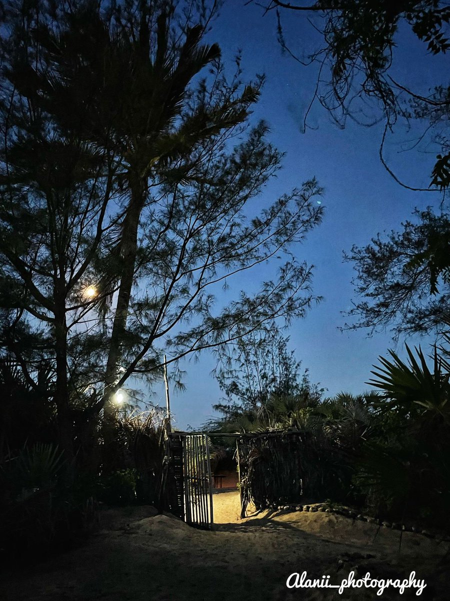 barefoot_camp's tweet photo. Take me to the sea!

#oceanlife 
#MalindiNorth 
#mambrui 
#vitaminsea 
#nightstoberemembered 
#icamp 
#PhotoOfTheDay
#livethebeachlife
#moon
@alanii_photography https://t.co/qP4IQdvZQF