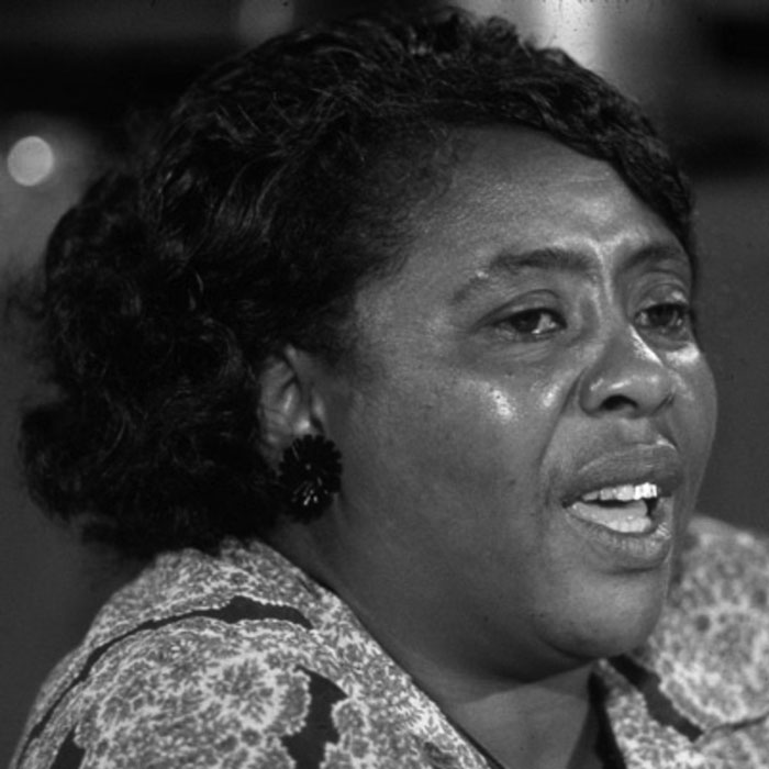 lemonadestdbcmp's tweet image. #60Days of #BlackHistory 
In 1962, Hamer was fired and thrown off the plantation on which she resided after registering to vote. Are you willing to exercise your right to vote today?
#BlackEconomics101