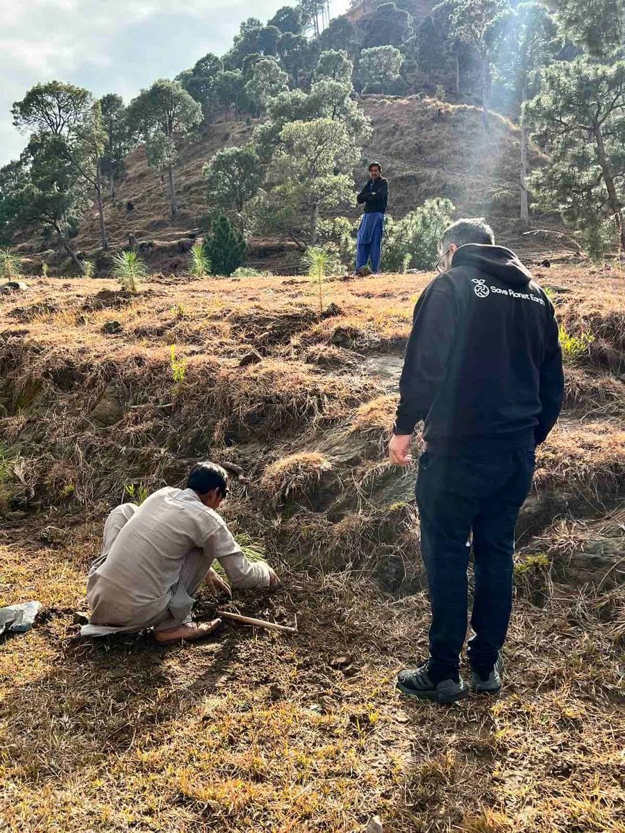 SPE_ETH's tweet photo. 🤫TEASER TIME👀

🌏SPE Nursery Operations 

🇲🇻Maldives 2
🇱🇰Sri Lanka 4
🇵🇰Pakistan 6

Legal Companies set up. Proposals submitted. Confirmed locations, staff IDed and recruited.

Next step: Lease Docs, equipment procurement, native species sourcing

🌲Party is just getting started https://t.co/Z1AkPcieQg