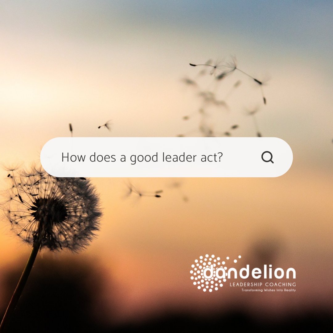 I wanna know your thoughts - how do good leaders act?

#dandelionleadershipcoaching #leadershipcoaching #professionalcoaching #leadershipcoachingforwomen #leadership #leadershipattributes