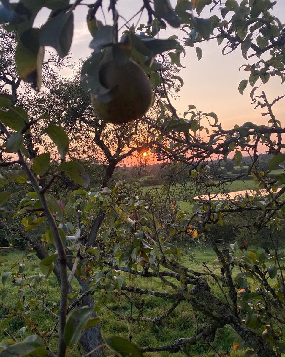 A little reminder to get outside if you can this #BlueMonday