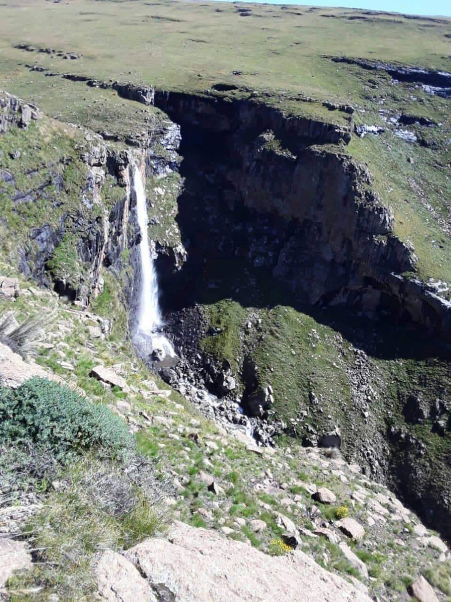 Motlatsi_RC tweet picture