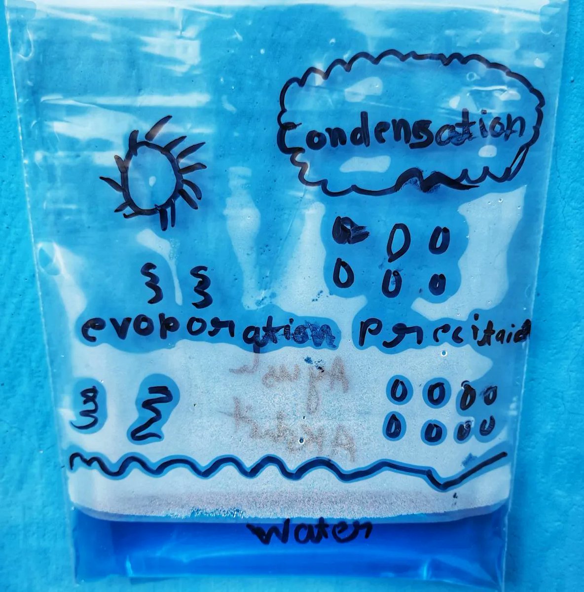 FutureSense Foundation tweet media