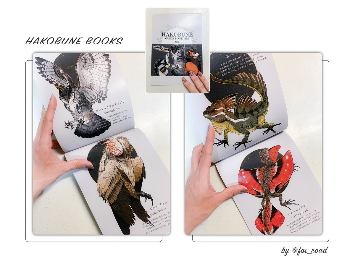 箱舟こみち/次は九州ティア tweet media