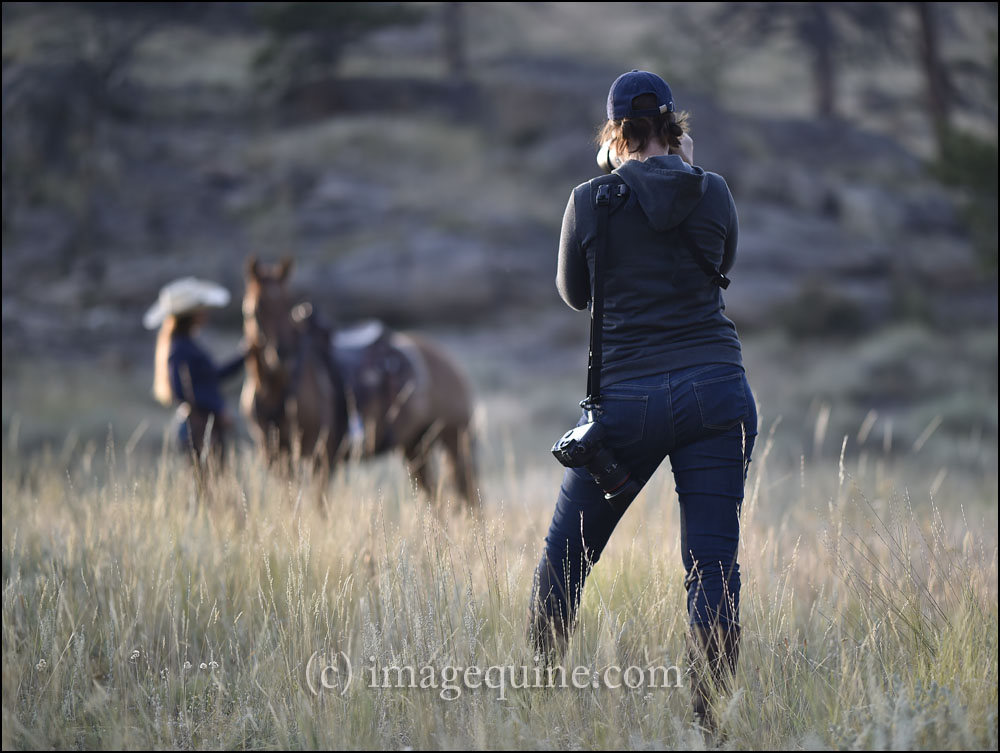 EPNet's tweet image. Do you love horses and photography?
Take our FREE THREE month trial as Basic EPNet Member!
equinephotographers.org/membership/fre…