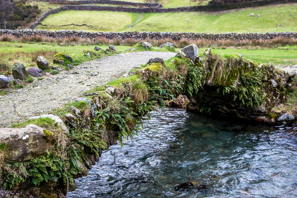 Andrew Locking tweet media