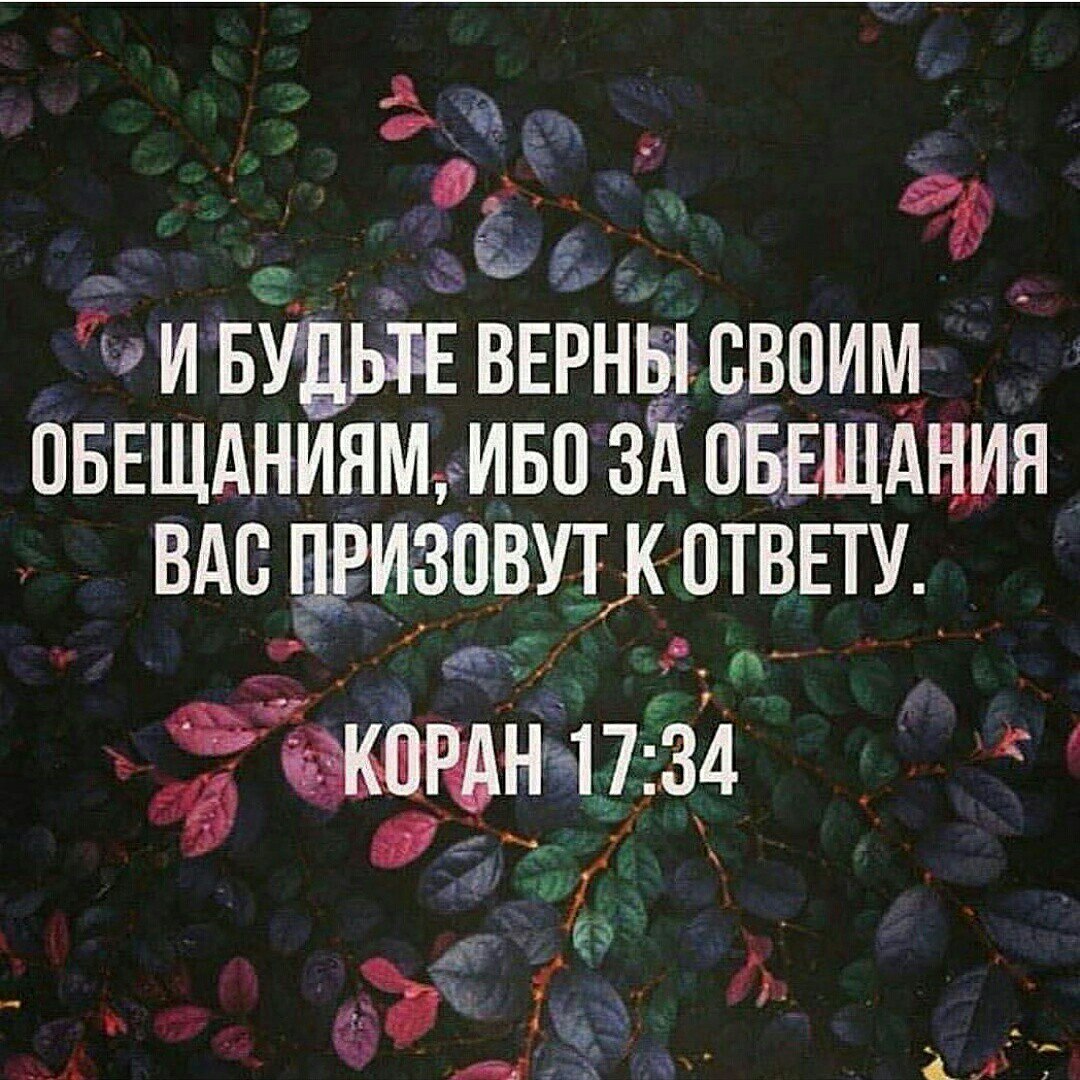 Муслим الحمد لله (@muslimdavud) on Twitter photo 