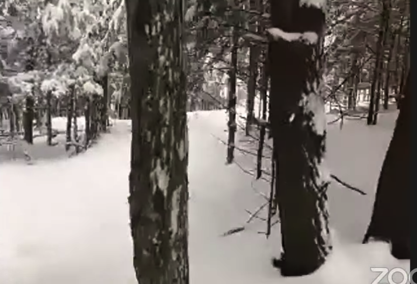 Franca Genco tweet media