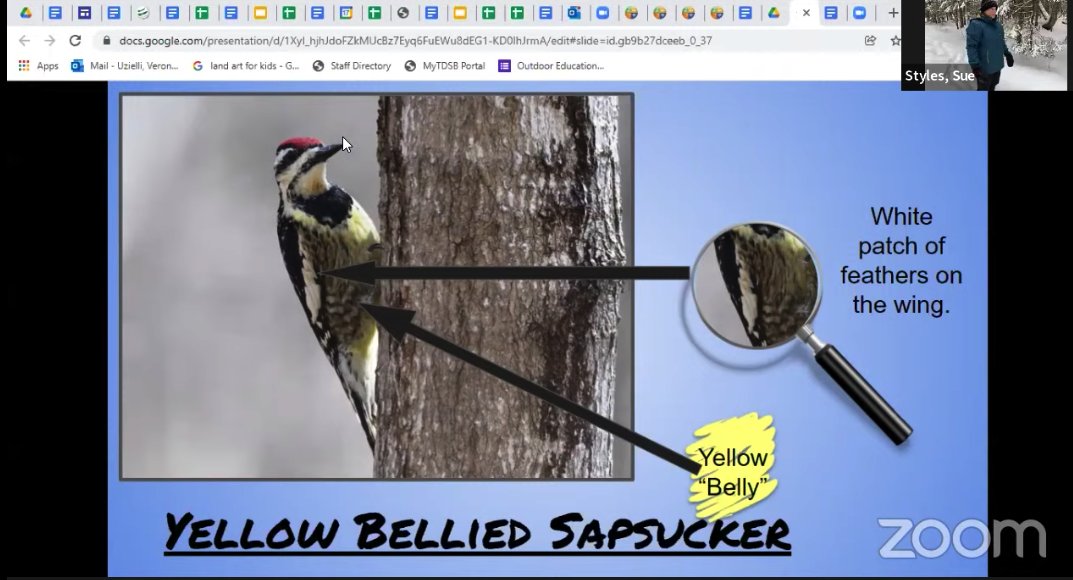 Franca Genco tweet media