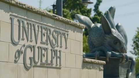 The <a href="/UofGuelphOAC/">Ontario Agricultural College</a> in partnership with RBC &amp; FCC have designed a free, self-paced, online course to empower you with the knowledge and confidence to take your agri-business to the next level. 

Invest in your business. Invest in yourself.

Enroll today: GuelphAgriculturalManagement.com