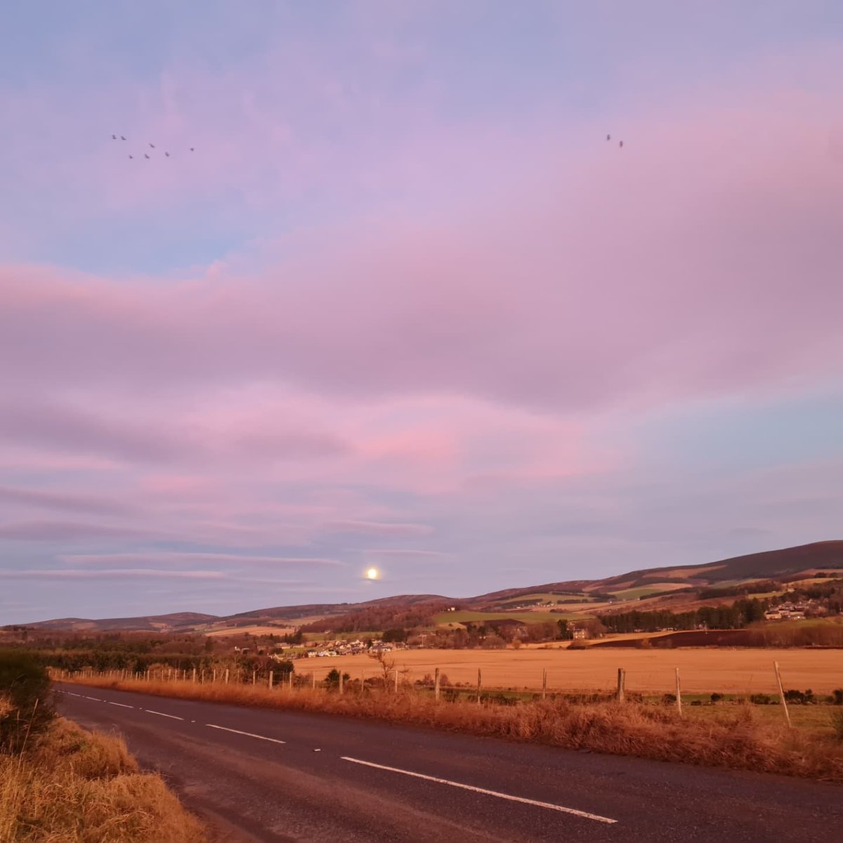 NorthernHighlightsSightseeingPass tweet media