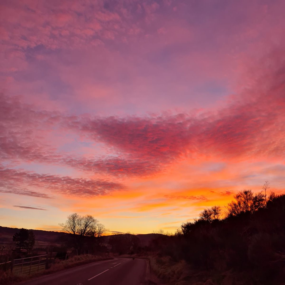 NorthernHighlightsSightseeingPass tweet media