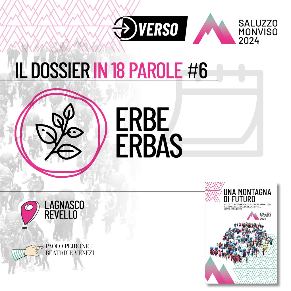 2024Monviso's tweet photo. Il dossier in 18 parole #6 - Erbe 🌿

#saluzzomonviso2024 #unamontagnadifuturo #terresmonviso #cidc2024 #metromontagna #eusalp #monvisounesco #Ministerodellacultura #candidatacapitalecultura2024 #CapitaleItalianaDellaCultura https://t.co/Zp75YlWJxm