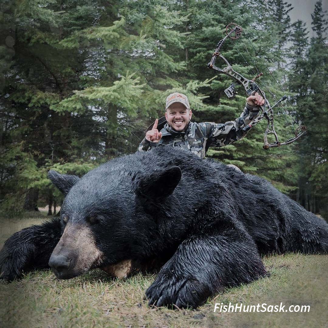 Petersen's Hunting tweet media