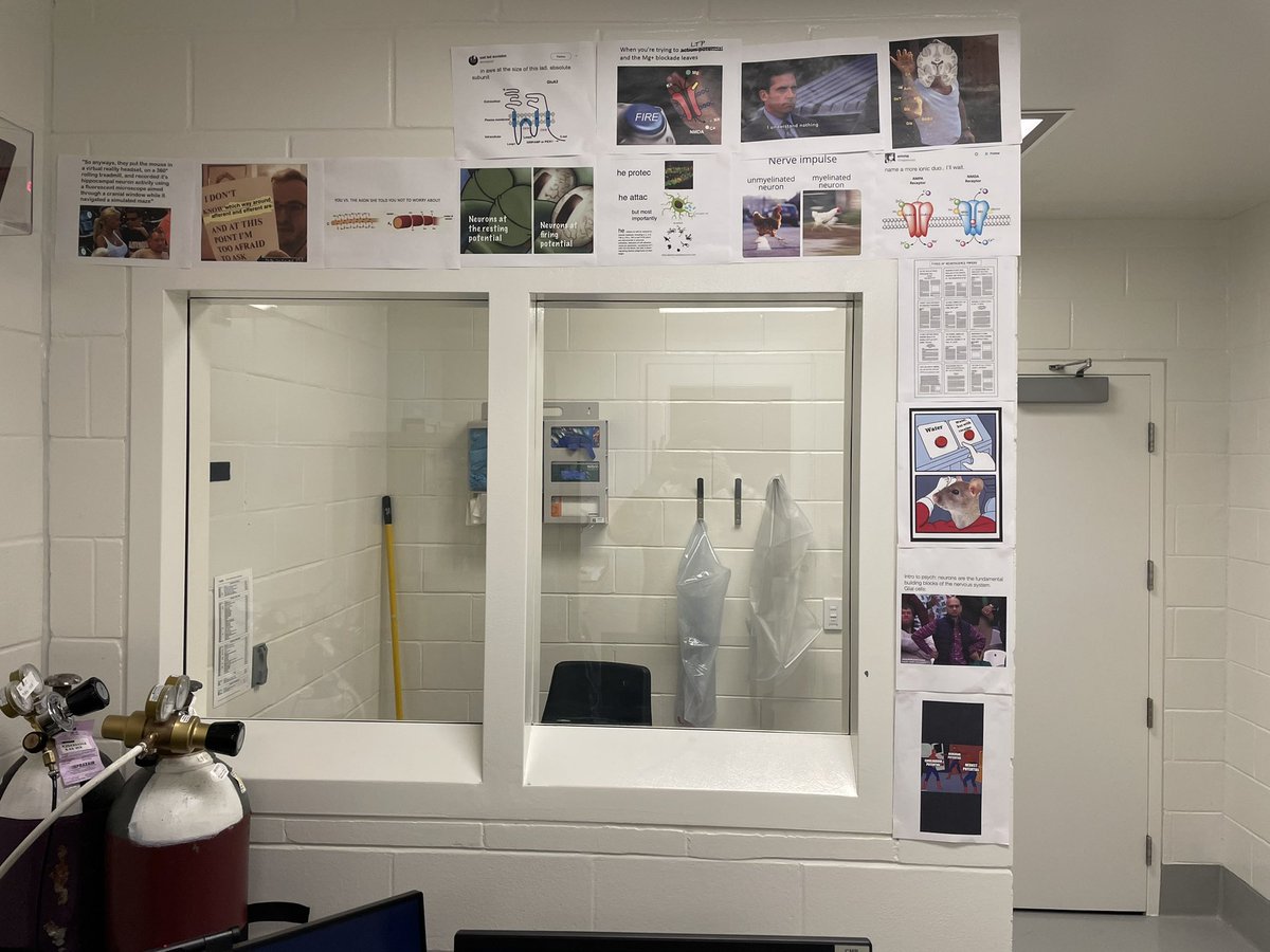 benrogers922's tweet photo. Phase 1 of spicing up an Ephys room: memes https://t.co/3WTyRqgEST