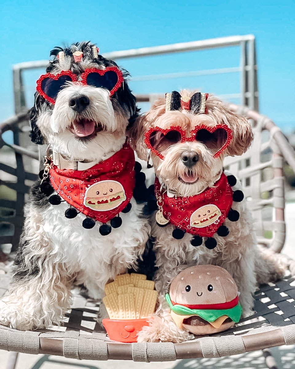 Pet Craft Supply Co. tweet media