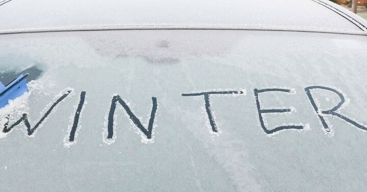 The Wheeldon Company Pest Management tweet media