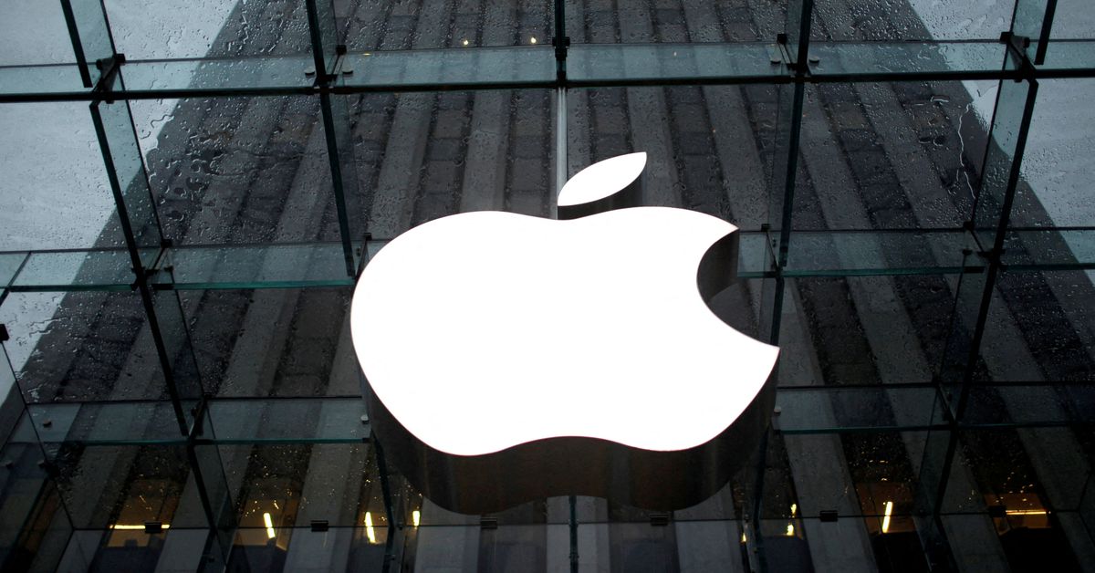 Dutch consumer watchdog to vet Apple dating app payment reforms
