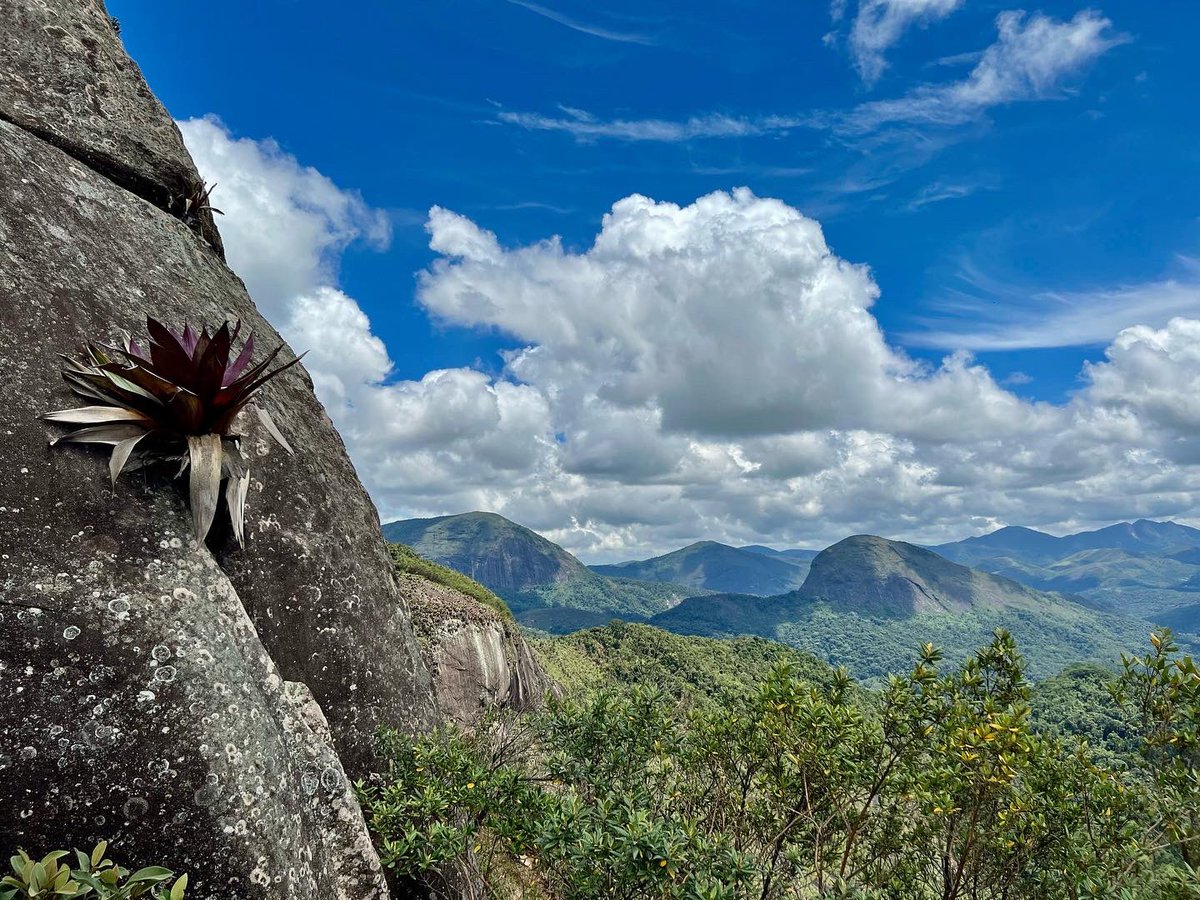 LydiaABlack's tweet photo. So lucky to have family in this part of the world. Montanhas de Teresópolis, Rio de Janerio, Brazil. 🇧🇷 #brazil #Rio #Wanderlust https://t.co/nqP2wtRRfP